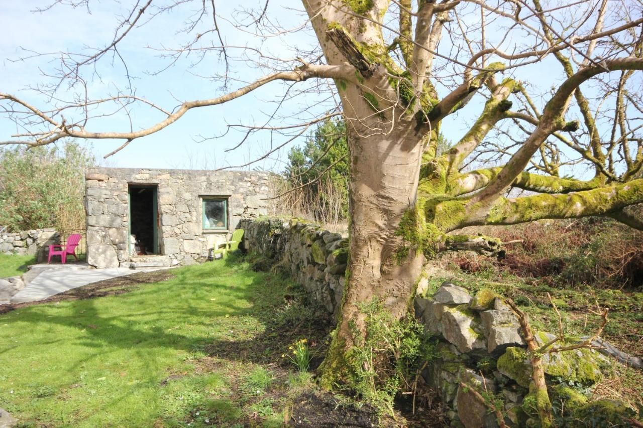 Atlantic Way Cottage Galway Dış mekan fotoğraf