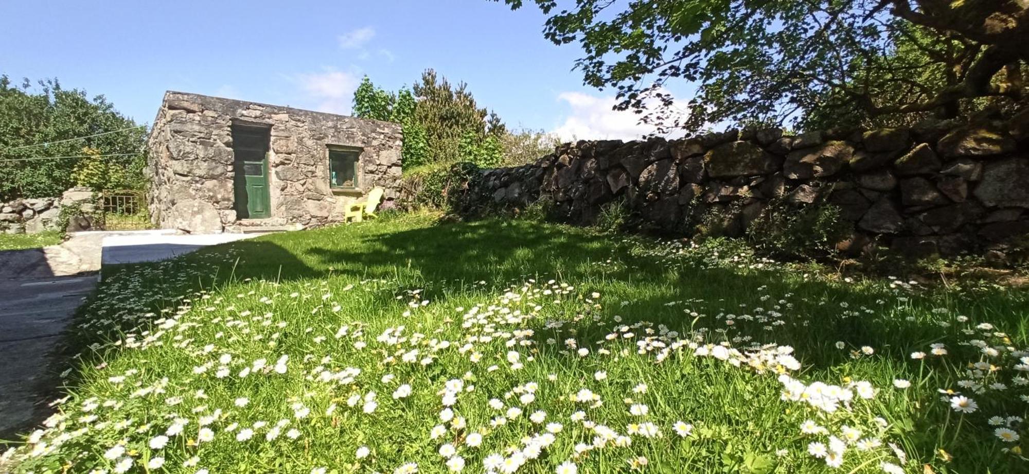Atlantic Way Cottage Galway Oda fotoğraf